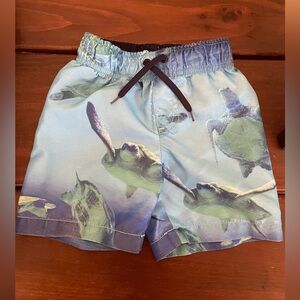 Turtle Print Crazy 8 swim trunks . Size 12-18 months.